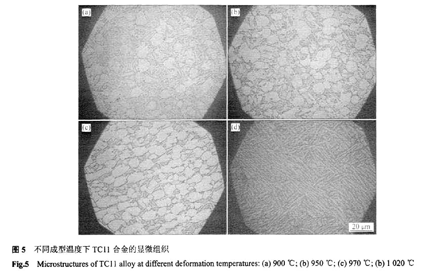 不同成型溫度下TC11鈦合金的顯微組織 不同成型溫度下TC11鈦合金的顯微組織