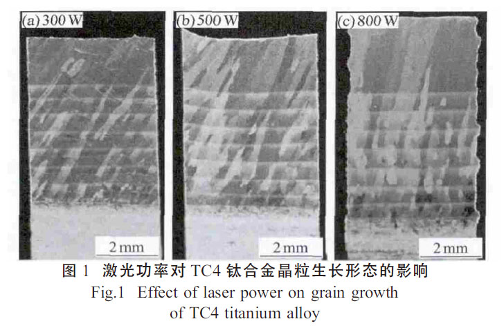 1664155417439361.jpg t1.jpg