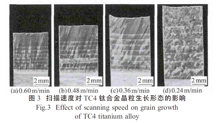 1664155462328630.jpg t3.jpg