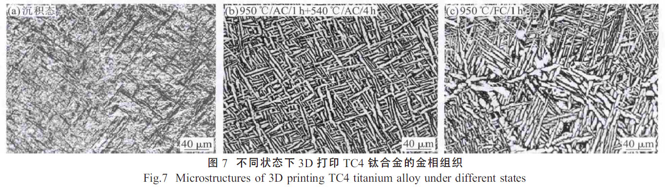 1664155518446158.jpg t7.jpg