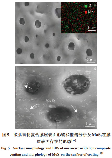 1668831304790446.jpg a5.jpg