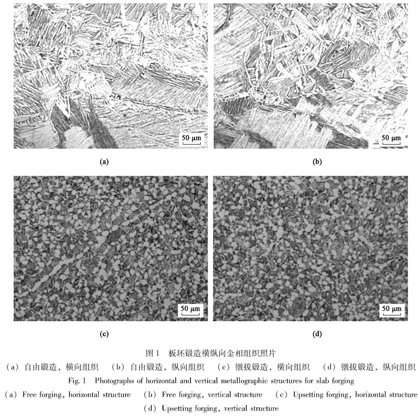 1681141201847460.jpg kt1.jpg