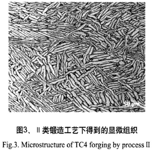 1687612179582999.jpg t3.jpg