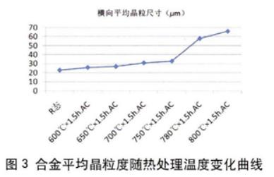 1697511970615845.jpg t3.jpg