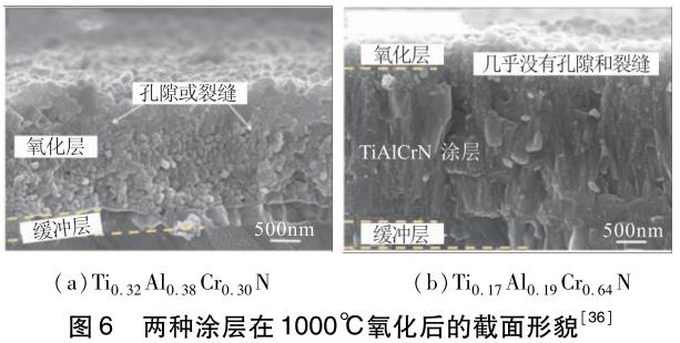 1699006804156106.jpg t6.jpg