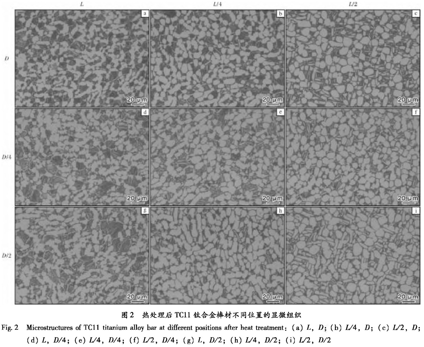 1700571185400444.jpg t2.jpg