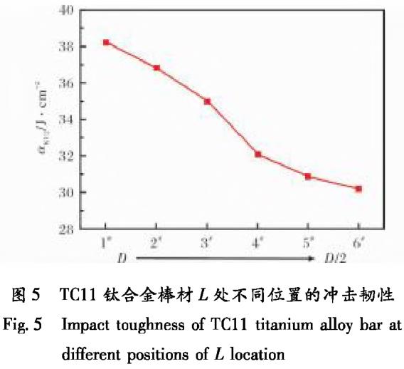 1700571211125750.jpg t5.jpg