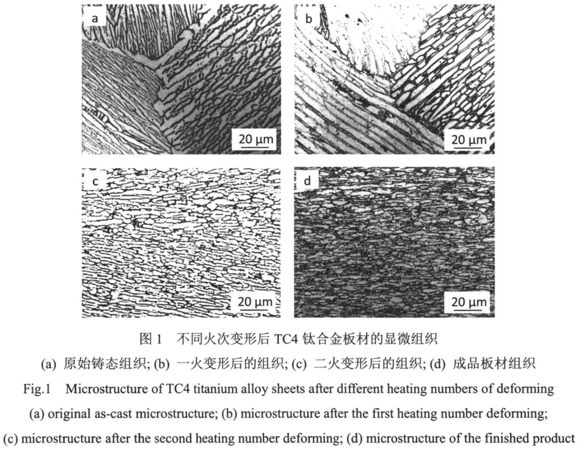 1701940708178358.jpg t1.jpg