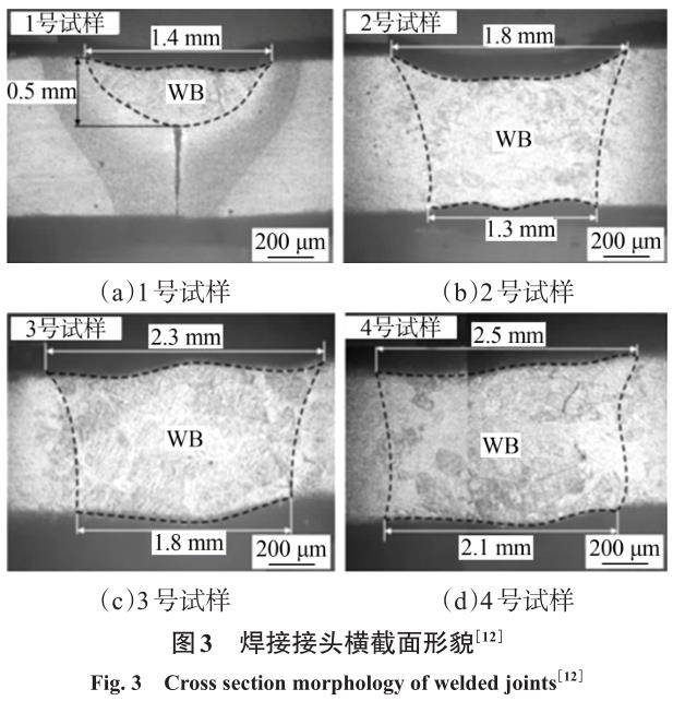 1704879272566003.jpg t3.jpg