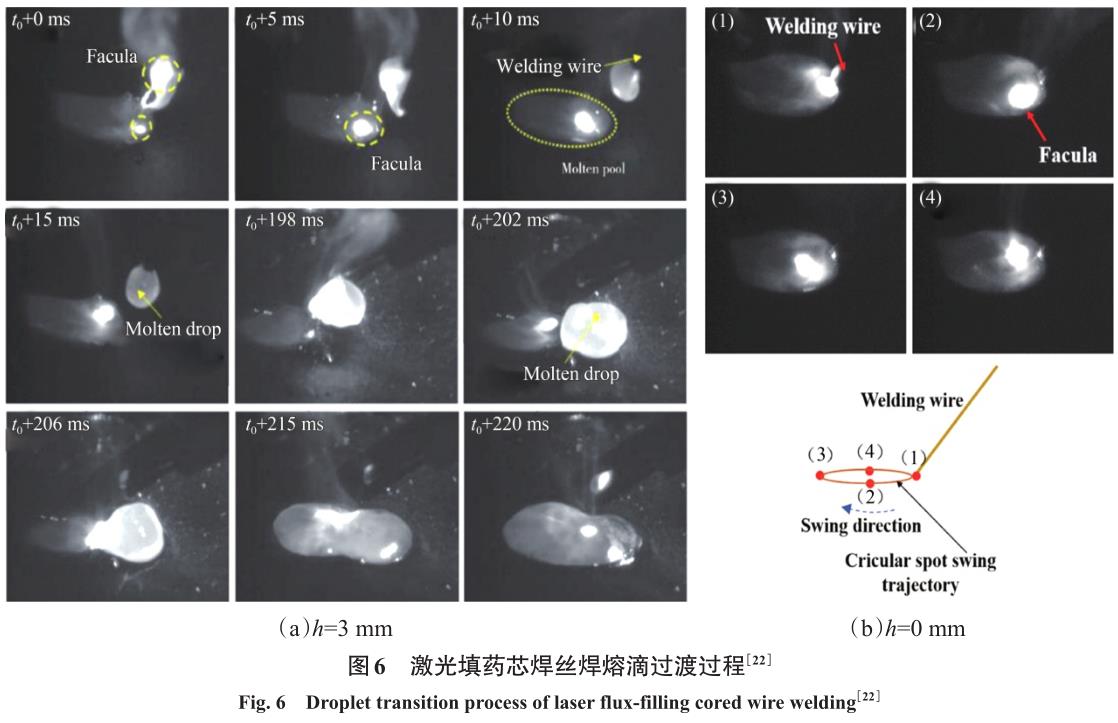 1704879321476274.jpg t6.jpg