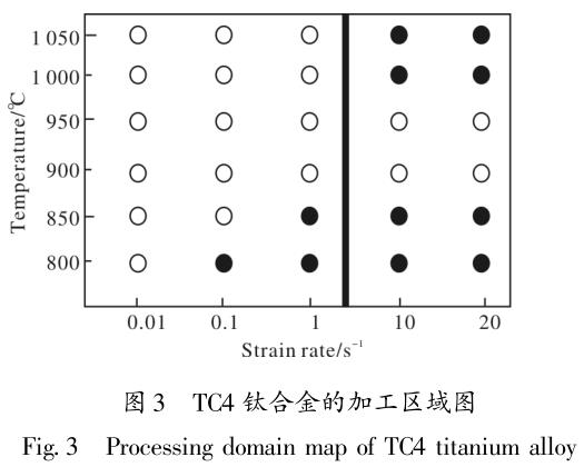 1704925334117040.jpg t3.jpg