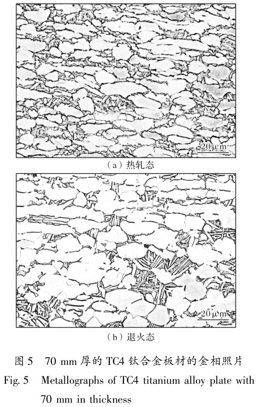 1704925354468777.jpg t5.jpg