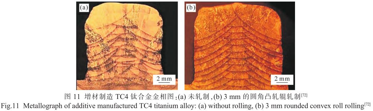 1705821695576560.jpg t11.jpg