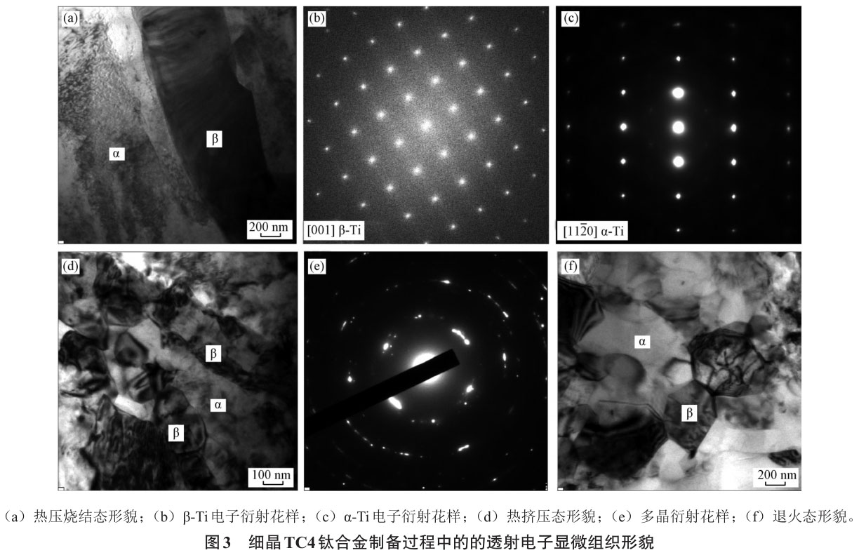 1705839598614739.jpg t3.jpg