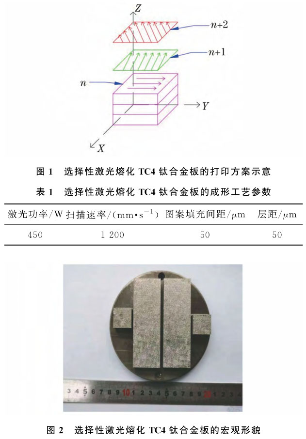 1708356091634117.jpg t1-2.jpg