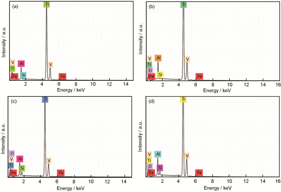 1710851772521753.jpg 4.jpg