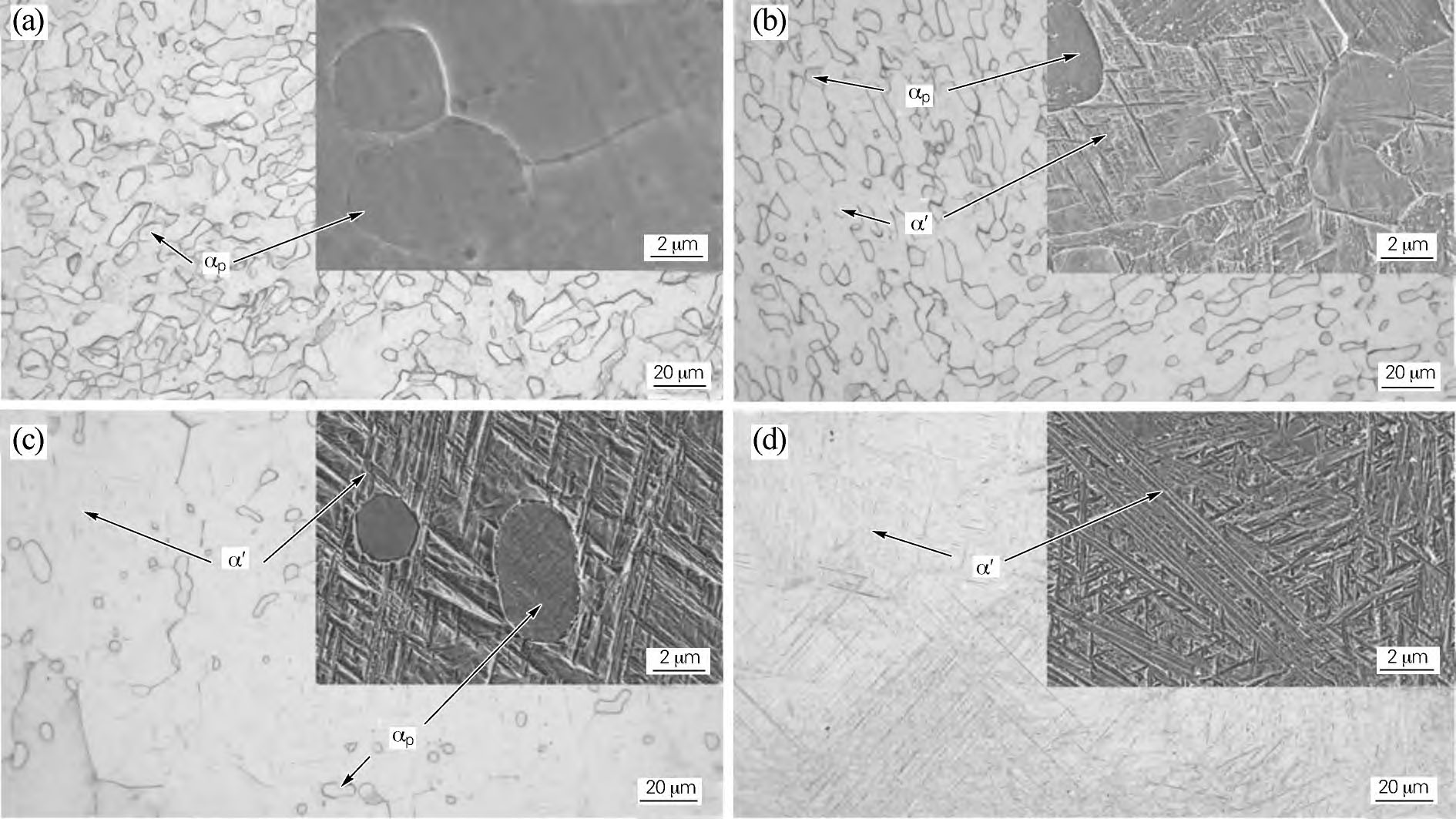 1710926465359053.jpg t2.jpg